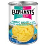 Twin Elephant Earth Bamboo Slices 540 g