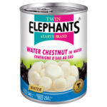 Twin Elephant Earth Water Chestnuts 540 g