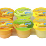 Cocon Pudding with Fruit DicesAssortedFlavours 708 g