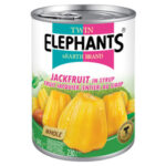 Twin Elephant Earth Jackfruit in syrup 565 g