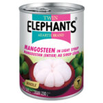 Twin Elephant Earth Mangosteen (in light syrup) 565 g