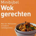 Kookboek Minibijbel Wokgerechten